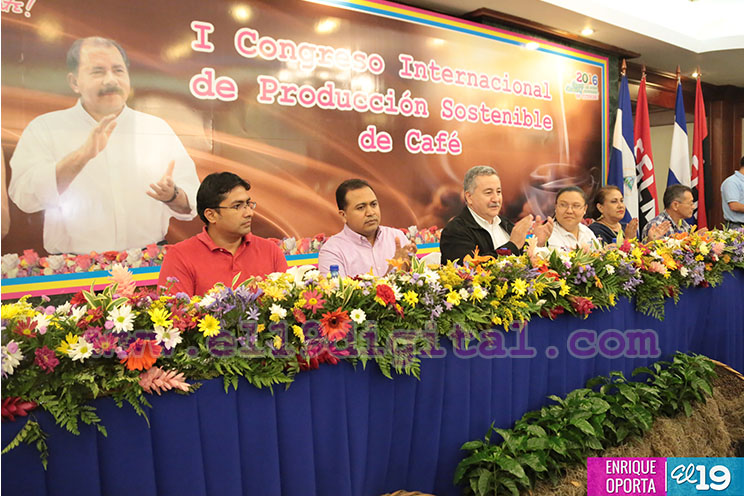 Producir café con un enfoque de armonía y sostenibilidad con la Madre Tierra